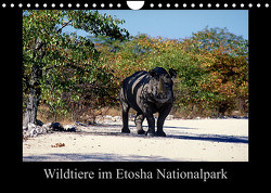 Wildtiere im Etosha Nationalpark (Wandkalender 2023 DIN A4 quer) von Steenblock,  Ewald