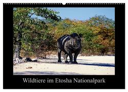 Wildtiere im Etosha Nationalpark (Wandkalender 2024 DIN A2 quer), CALVENDO Monatskalender von Steenblock,  Ewald