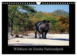 Wildtiere im Etosha Nationalpark (Wandkalender 2024 DIN A4 quer), CALVENDO Monatskalender von Steenblock,  Ewald