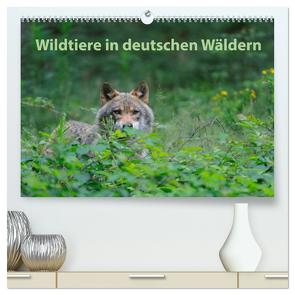 Wildtiere in deutschen Wäldern (hochwertiger Premium Wandkalender 2024 DIN A2 quer), Kunstdruck in Hochglanz von Jähne,  Karin