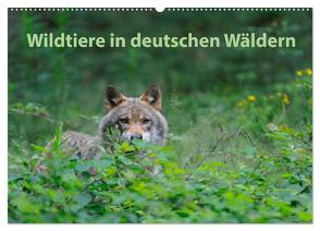 Wildtiere in deutschen Wäldern (Wandkalender 2024 DIN A2 quer), CALVENDO Monatskalender von Jähne,  Karin
