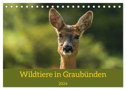 Wildtiere in Graubünden (Tischkalender 2024 DIN A5 quer), CALVENDO Monatskalender von Plattner,  Jürg