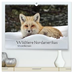 Wildtiere Nordamerikas (hochwertiger Premium Wandkalender 2024 DIN A2 quer), Kunstdruck in Hochglanz von Salzmann,  Ursula