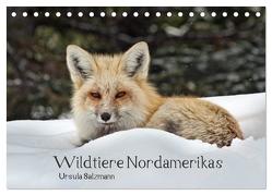 Wildtiere Nordamerikas (Tischkalender 2024 DIN A5 quer), CALVENDO Monatskalender von Salzmann,  Ursula
