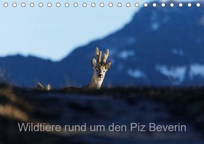 Wildtiere rund um den Piz BeverinCH-Version (Tischkalender 2018 DIN A5 quer) von Danuser,  Christian