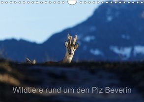 Wildtiere rund um den Piz BeverinCH-Version (Wandkalender 2018 DIN A4 quer) von Danuser,  Christian