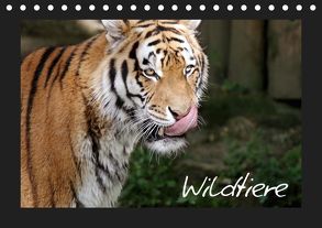 Wildtiere (Tischkalender 2019 DIN A5 quer) von Zeller und Christian Kiedy,  Katrin