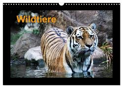 Wildtiere (Wandkalender 2024 DIN A3 quer), CALVENDO Monatskalender von Knof,  www.cknof.de,  Claudia