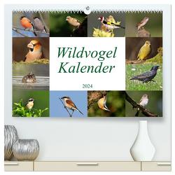 Wildvogelkalender (hochwertiger Premium Wandkalender 2024 DIN A2 quer), Kunstdruck in Hochglanz von Bucher,  Leo
