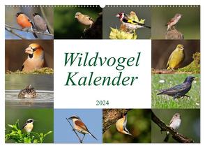 Wildvogelkalender (Wandkalender 2024 DIN A2 quer), CALVENDO Monatskalender von Bucher,  Leo