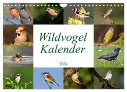 Wildvogelkalender (Wandkalender 2024 DIN A4 quer), CALVENDO Monatskalender von Bucher,  Leo