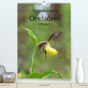 Wildwachsende Orchideen in Bayern (Premium, hochwertiger DIN A2 Wandkalender 2022, Kunstdruck in Hochglanz) von Birzer,  Christian