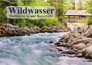 Wildwasser. Gebirgsbäche und Wasserfälle (Wandkalender 2023 DIN A2 quer) von Stanzer,  Elisabeth