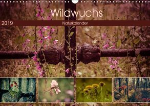 Wildwuchs 2019 (Wandkalender 2019 DIN A3 quer) von Drews,  Marianne