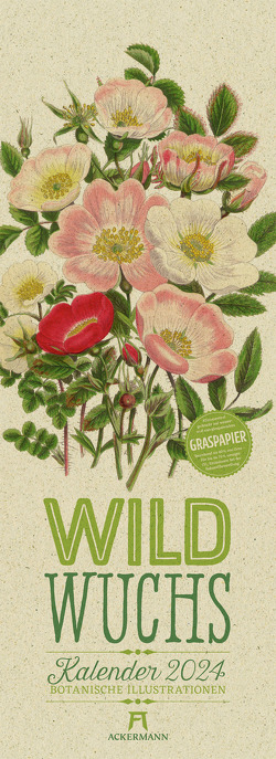 Wildwuchs – Botanische Illustrationen – Graspapier-Kalender 2024 von Pratt,  Anne