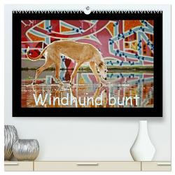 Windhund bunt (hochwertiger Premium Wandkalender 2024 DIN A2 quer), Kunstdruck in Hochglanz von Köntopp,  Kathrin