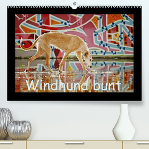 Windhund bunt (Premium, hochwertiger DIN A2 Wandkalender 2023, Kunstdruck in Hochglanz) von Köntopp,  Kathrin