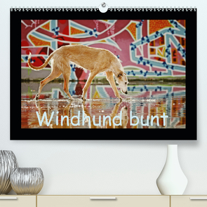 Windhund bunt (Premium, hochwertiger DIN A2 Wandkalender 2020, Kunstdruck in Hochglanz) von Köntopp,  Kathrin