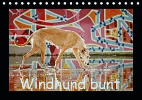 Windhund bunt (Tischkalender 2019 DIN A5 quer) von Köntopp,  Kathrin
