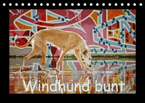 Windhund bunt (Tischkalender 2022 DIN A5 quer) von Köntopp,  Kathrin