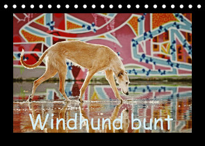 Windhund bunt (Tischkalender 2023 DIN A5 quer) von Köntopp,  Kathrin