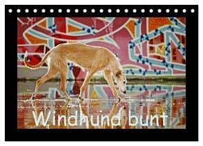 Windhund bunt (Tischkalender 2024 DIN A5 quer), CALVENDO Monatskalender von Köntopp,  Kathrin