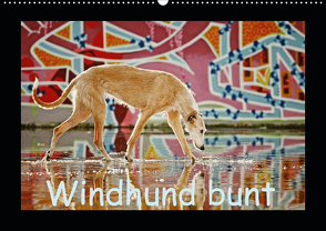 Windhund bunt (Wandkalender 2021 DIN A2 quer) von Köntopp,  Kathrin