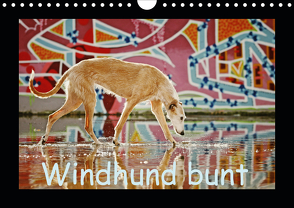 Windhund bunt (Wandkalender 2021 DIN A4 quer) von Köntopp,  Kathrin