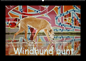 Windhund bunt (Wandkalender 2022 DIN A2 quer) von Köntopp,  Kathrin