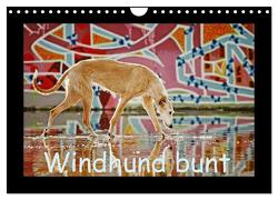 Windhund bunt (Wandkalender 2024 DIN A4 quer), CALVENDO Monatskalender von Köntopp,  Kathrin