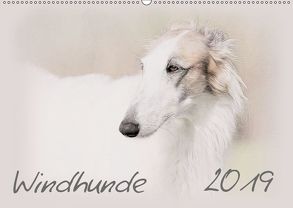 Windhunde 2019 (Wandkalender 2019 DIN A2 quer) von Redecker,  Andrea