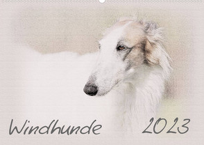 Windhunde 2023 (Wandkalender 2023 DIN A2 quer) von Redecker,  Andrea