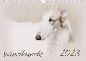 Windhunde 2023 (Wandkalender 2023 DIN A4 quer) von Redecker,  Andrea
