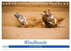 Windhunde – eine Leidenschaft (Tischkalender 2024 DIN A5 quer), CALVENDO Monatskalender von Redl,  Ula