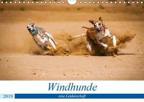 Windhunde – eine Leidenschaft (Wandkalender 2019 DIN A4 quer) von Redl,  Ula