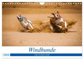 Windhunde – eine Leidenschaft (Wandkalender 2024 DIN A4 quer), CALVENDO Monatskalender von Redl,  Ula