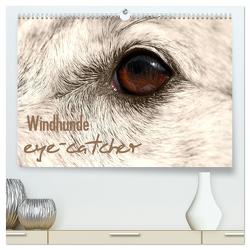 Windhunde eye-catcher (hochwertiger Premium Wandkalender 2024 DIN A2 quer), Kunstdruck in Hochglanz von - Andrea Redecker,  4pfoten-design