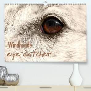 Windhunde eye-catcher (Premium, hochwertiger DIN A2 Wandkalender 2021, Kunstdruck in Hochglanz) von - Andrea Redecker,  4pfoten-design