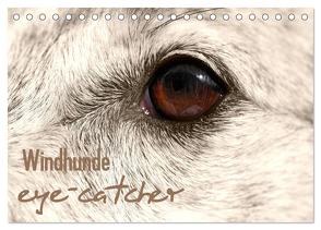 Windhunde eye-catcher (Tischkalender 2024 DIN A5 quer), CALVENDO Monatskalender von - Andrea Redecker,  4pfoten-design