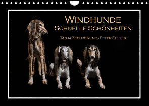 Windhunde – Schnelle Schönheiten (Wandkalender 2022 DIN A4 quer) von Zech & Klaus-Peter Selzer,  Tanja