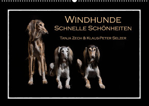 Windhunde – Schnelle Schönheiten (Wandkalender 2023 DIN A2 quer) von Zech & Klaus-Peter Selzer,  Tanja