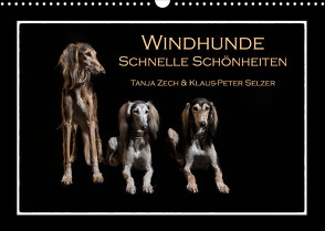 Windhunde – Schnelle Schönheiten (Wandkalender 2023 DIN A3 quer) von Zech & Klaus-Peter Selzer,  Tanja