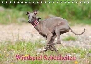 Windspiel Schönheiten (Tischkalender 2019 DIN A5 quer) von Joswig,  Angelika