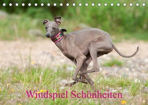 Windspiel Schönheiten (Tischkalender 2023 DIN A5 quer) von Joswig,  Angelika