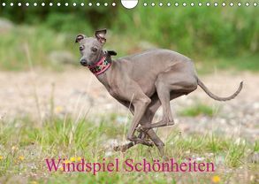 Windspiel Schönheiten (Wandkalender 2018 DIN A4 quer) von Joswig,  Angelika