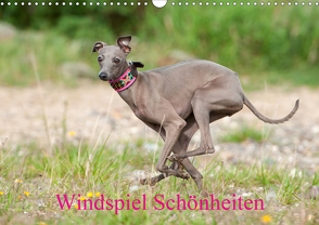 Windspiel Schönheiten (Wandkalender 2021 DIN A3 quer) von Joswig,  Angelika