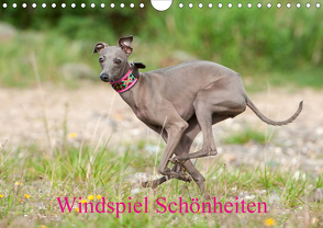 Windspiel Schönheiten (Wandkalender 2021 DIN A4 quer) von Joswig,  Angelika