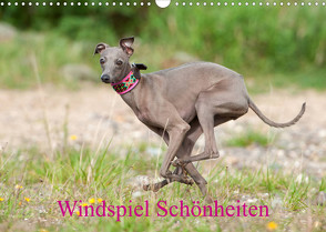 Windspiel Schönheiten (Wandkalender 2023 DIN A3 quer) von Joswig,  Angelika