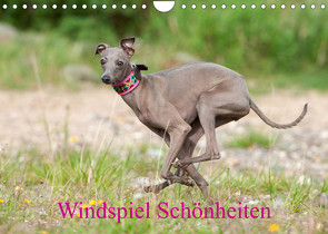 Windspiel Schönheiten (Wandkalender 2023 DIN A4 quer) von Joswig,  Angelika