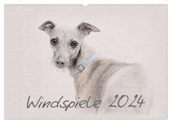 Windspiele 2024 (Wandkalender 2024 DIN A2 quer), CALVENDO Monatskalender von Redecker,  Andrea